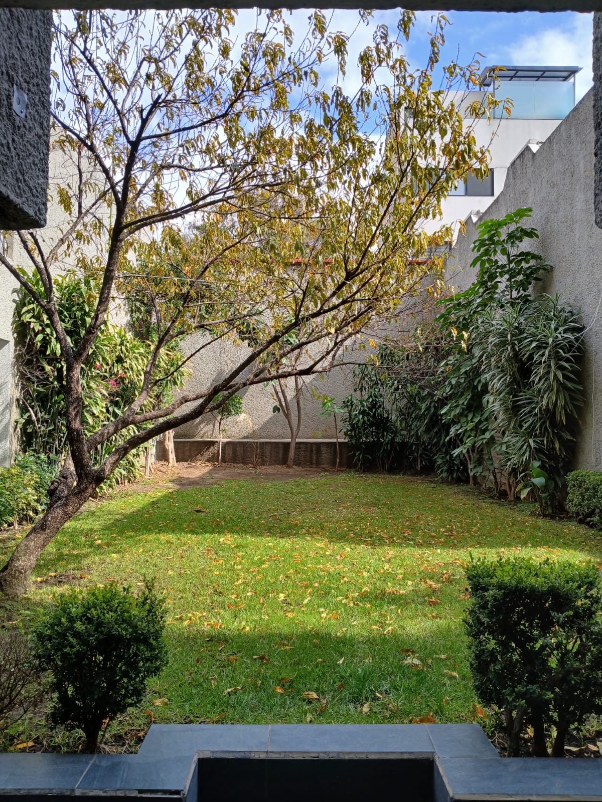 Imagen de la galería de Risaku 3